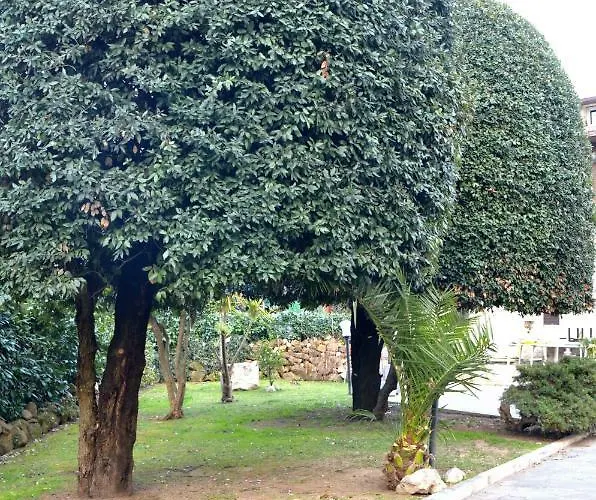 Casa Di Alberta רומא